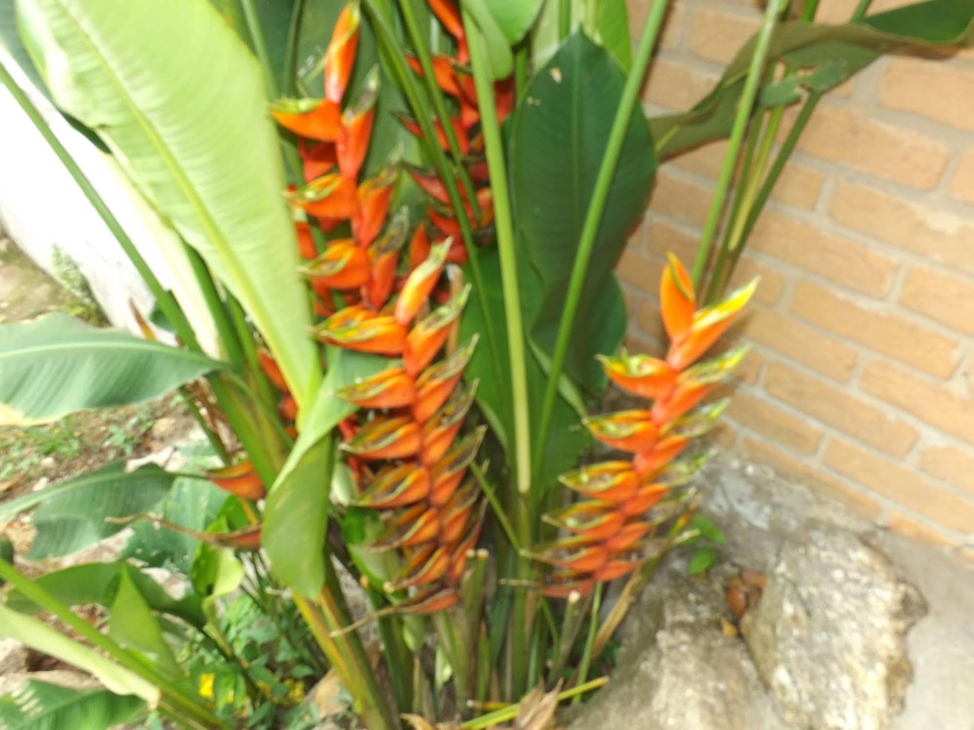 אובטובה Apartamentos Casa Da Pedra מראה חיצוני תמונה